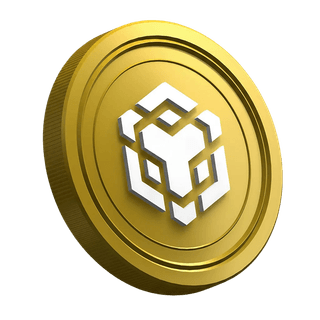 Página de guía para traders principiantes con la criptomoneda BNB