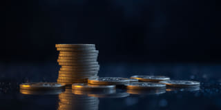 Información transparente y detallada sobre la plataforma de trading Zorzal Rentivo